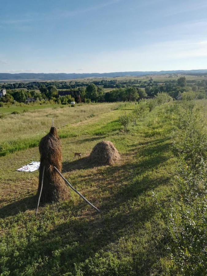 Pensiunea Agroturistica Casa Sirca Boghiş Exterior foto