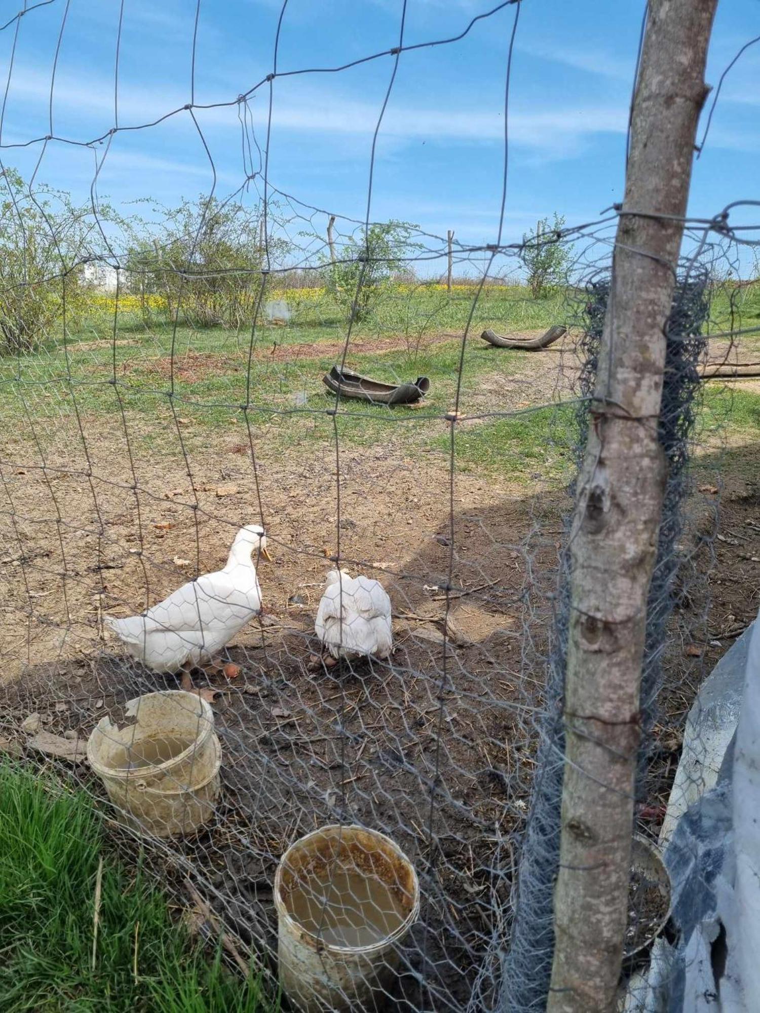 Pensiunea Agroturistica Casa Sirca Boghiş Exterior foto